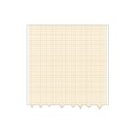 Papel Registro ECG 210 x 25 mes.